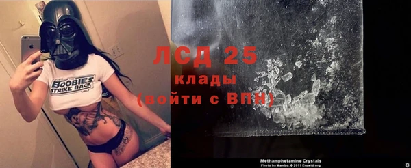 шишки Бронницы