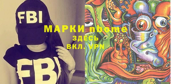 молекула духа Бородино