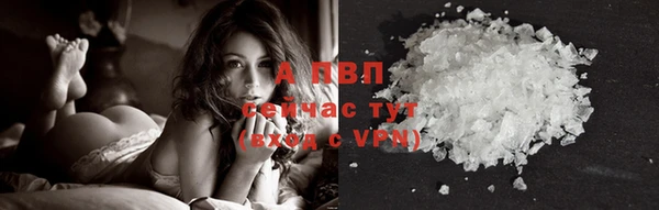 молекула духа Бородино