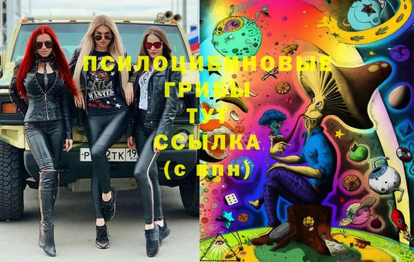 молекула духа Бородино