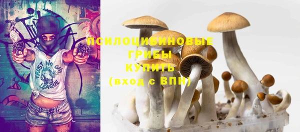 шишки Бронницы