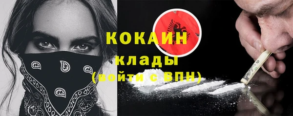 шишки Бронницы