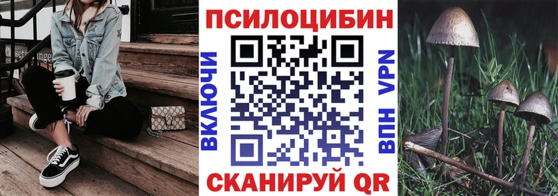 Псилоцибиновые грибы прущие грибы наркошоп Клинцы